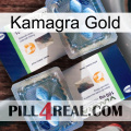 Kamagra Gold viagra5